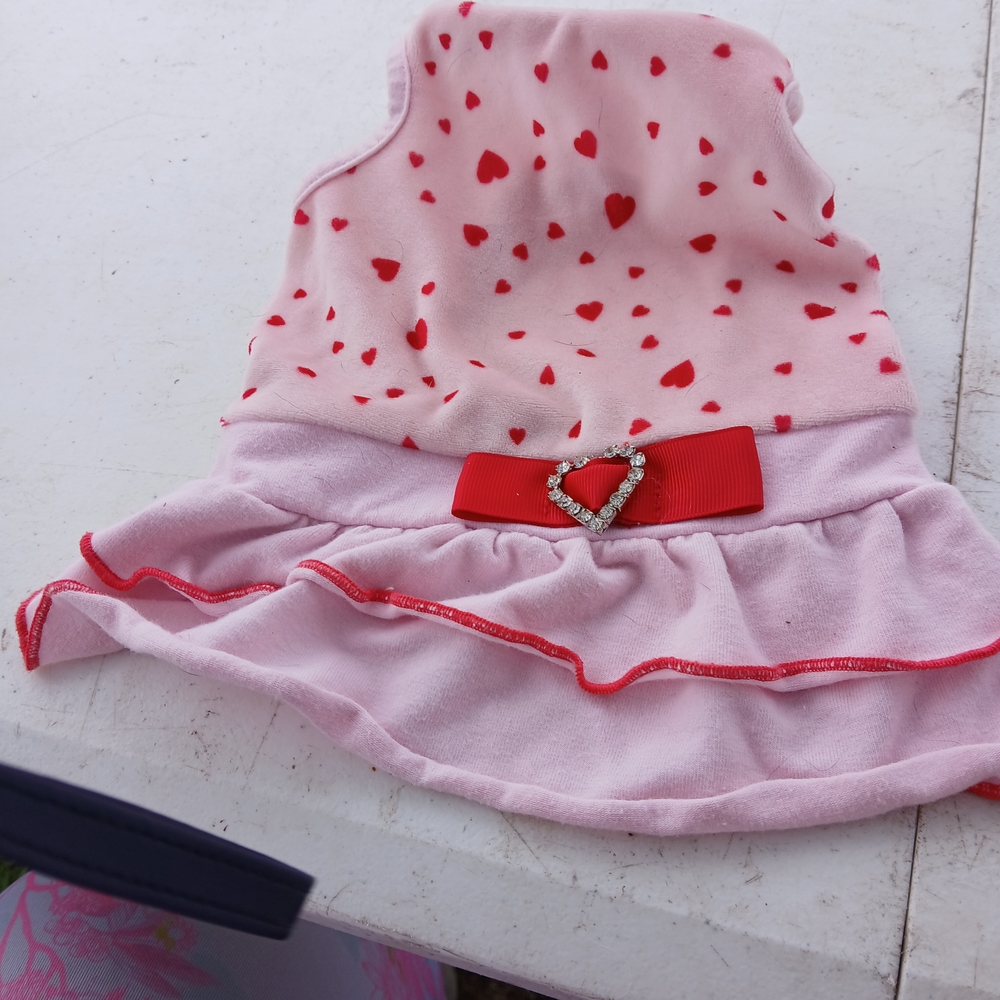 Pink and Red Heart Dog Dress